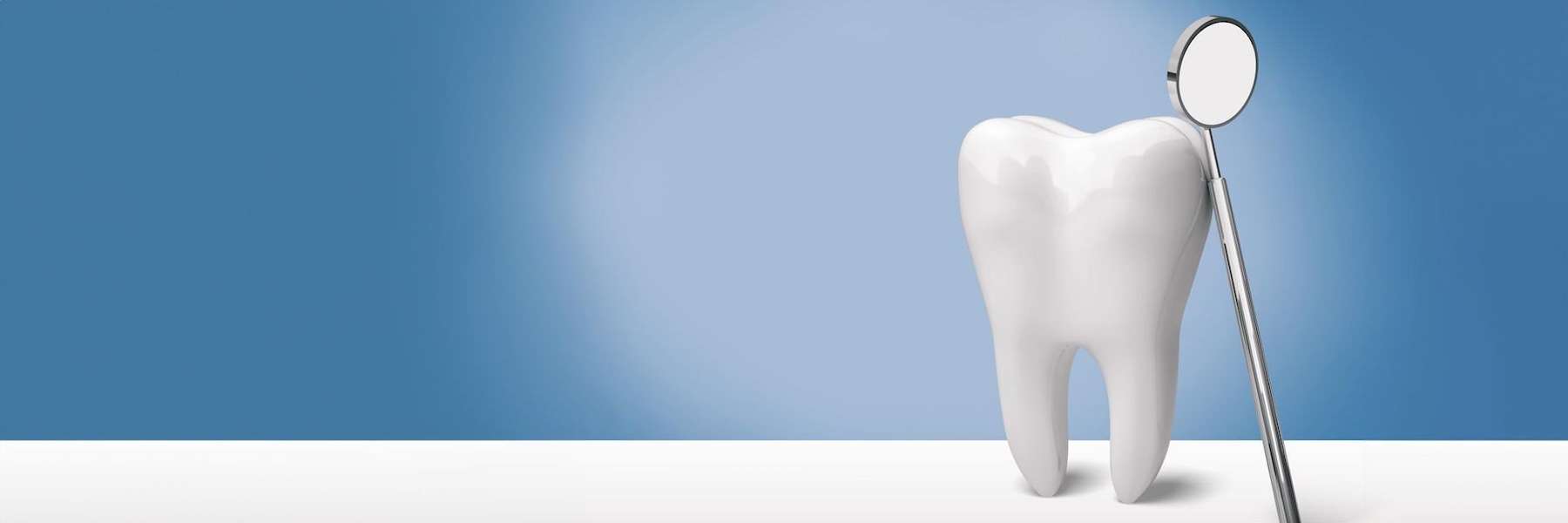 a model of a tooth and dental mouth mirror in Apex, NC