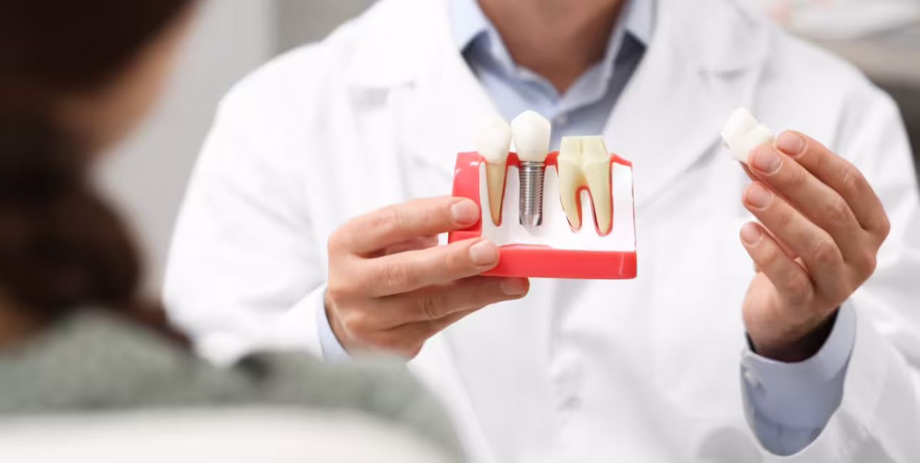Dentist explaining a dental implant using a tooth model